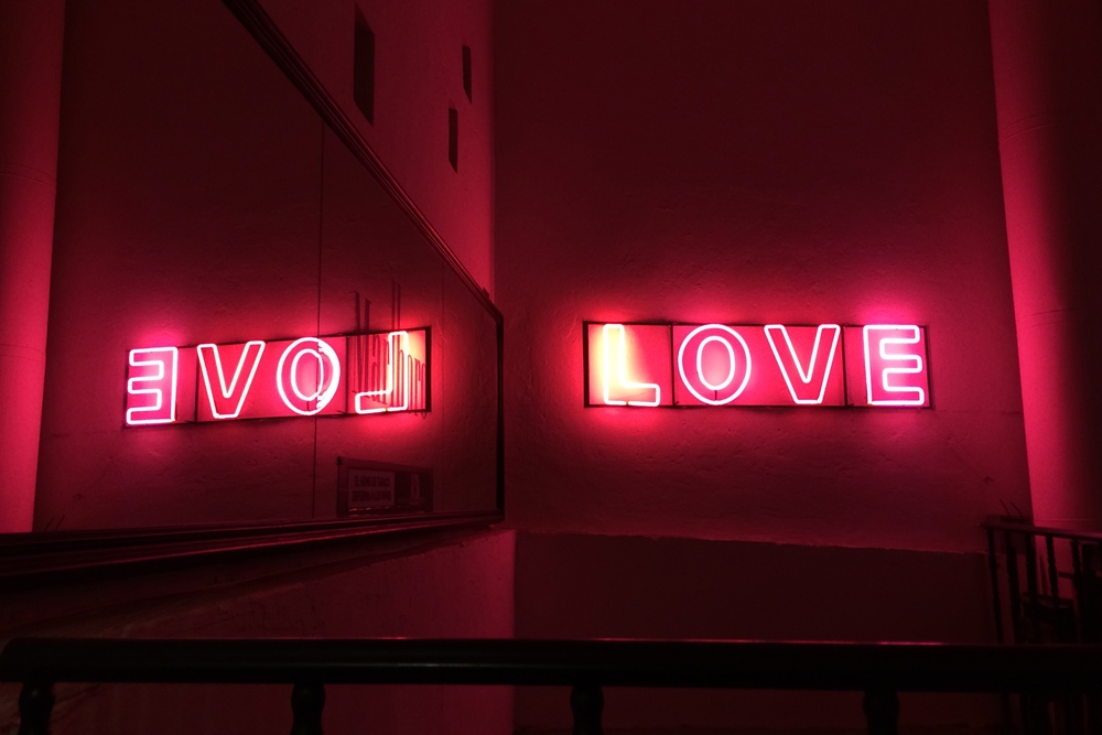 Evol Love