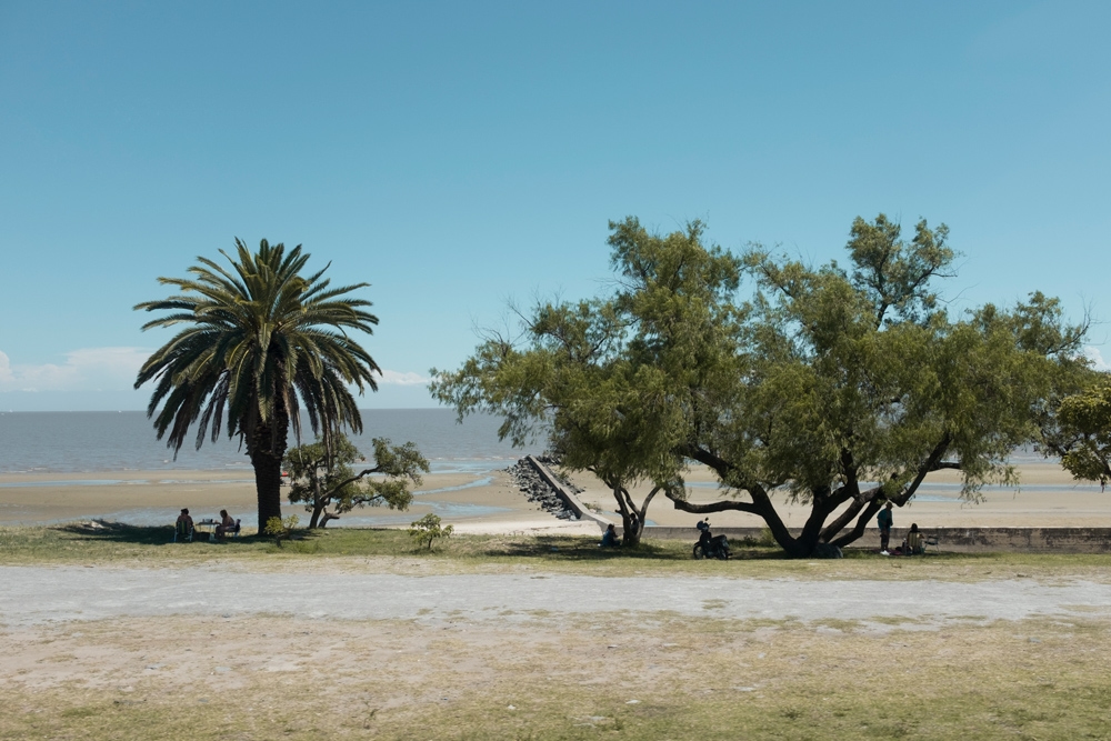 Colonia